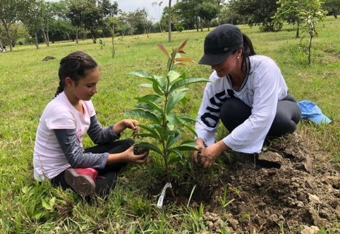 educational-tree-planting