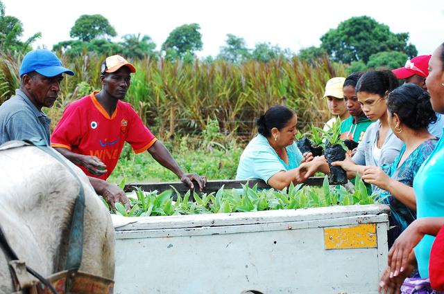 Agroforestry: Revolutionizing Farming, Empowering Farmers, and ...