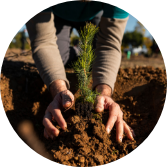 greening-the-planet