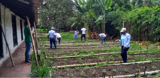 Small Agroforestry-1