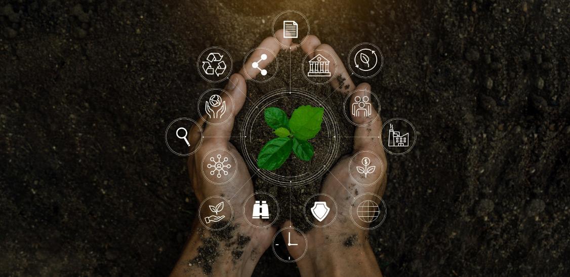 How Planting Trees Can Lead to Sustainable Development and Prosperity